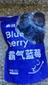 素坊每日莓果 混合草莓樹莓新鮮冷凍藍(lán)莓鮮果黑莓速凍水果冰凍漿果 【大包裝】藍(lán)莓200g*4袋 曬單實拍圖