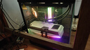 訊景（XFX）AMD RADEON RX 9070 XT OC 海外版Ultra 16GB 白色 全新電競游戲設計智能學(xué)習臺式電腦獨立顯卡 曬單實(shí)拍圖