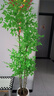 未歐南天竹仿真綠植盆栽高端輕奢室內(nèi)客廳裝飾擺件大型造景落地假花樹 180cm 4桿南天竹+輕奢花盆 曬單實(shí)拍圖