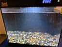 森森金麟超白玻璃魚缸一體缸自循小型懶人家用水族箱LE-300 曬單實拍圖