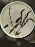 頑皮鼠【6-14歲】?jī)和R折疊偏光太陽(yáng)鏡遮陽(yáng)防強(qiáng)光防炫光UV紫外線男女 曬單實(shí)拍圖