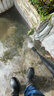 漁之源 活魚(yú)桶魚(yú)箱釣魚(yú)桶魚(yú)籠裝魚(yú)箱折疊水桶透明桶50藏藍+氧氣泵 曬單實(shí)拍圖