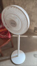 先鋒(SingFun)家用電風扇落地扇米白風扇節(jié)能宿舍小風扇臺地扇空氣循環(huán)扇靜音大風量風扇DLD-D17 曬單實拍圖