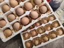 正宗土雞蛋農家散養新鮮雞蛋草雞蛋笨雞蛋現撿現發(fā)早餐溏心蛋買(mǎi)菜 20枚 曬單實(shí)拍圖