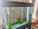 森森（SUNSUN）超白玻璃魚缸客廳大型底過濾自循環(huán)水族箱2025新款大理石紋路 1米長35cm寬 水切一體水槽 灰色 贈(zèng)大禮包 曬單實(shí)拍圖