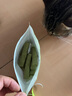 MamyPets貓草棒雞肉凍干貓草磨牙棒貓零食貓咪排化毛貓條貓薄荷餅干貓草片 曬單實(shí)拍圖
