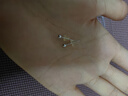 ALLOVES999足銀耳釘女養耳洞銀耳骨睡覺(jué)免摘小豆豆銀耳飾簡(jiǎn)約銀針耳棒 曬單實(shí)拍圖
