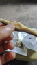 魚干龍頭魚干非即食海鮮干貨零食 龍頭魚干40克3包 曬單實拍圖