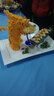 柒島清遠(yuǎn)雞生鮮廣東土雞整只農(nóng)家散養(yǎng)走地雞童子雞特產(chǎn) 清遠(yuǎn)雞1只【約1.7-1.9斤/只】 曬單實拍圖