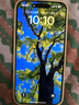 Apple/蘋(píng)果 iPhone 16 Pro Max（A3297）256GB 原色鈦金屬 支持移動(dòng)聯(lián)通電信5G 雙卡雙待手機 曬單實(shí)拍圖