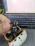 漫步者（EDIFIER）【旗艦升級】Comfo Clip Q真無線藍牙耳機耳夾式不入耳開放式氣骨傳導(dǎo)概念運動音樂跑步游戲節(jié)日禮 【入會立減5元】鈦空黑+耳機套 曬單實拍圖
