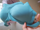 ubras無尺碼浪花領(lǐng)文胸收副乳內(nèi)衣女無痕小胸聚攏文胸?zé)o鋼圈胸罩 松石青色-背勾 均碼 (100-130斤) 曬單實(shí)拍圖