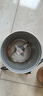 小熊（Bear）研磨機(jī) 家用磨粉機(jī) 打粉機(jī) 中藥粉碎機(jī) 料理機(jī) 干粉機(jī) 打粉超細(xì)研磨機(jī) FSJ-A03D1 曬單實(shí)拍圖