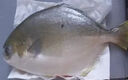 翔泰 海南金鯧魚凈重900g 2條裝  魚類生鮮 燒烤 火鍋食材 海鮮水產(chǎn) 曬單實拍圖