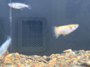 適配小米智能魚缸二代進(jìn)水口擋板升級改裝過濾出水口濾材配件改造 【二代小米魚缸】進(jìn)水口擋板（黑色） 曬單實拍圖