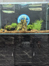 魚多趣魚缸背景紙 地球款 100*50cm 水族箱背景畫龜缸背景圖飼養(yǎng)缸貼紙 曬單實(shí)拍圖