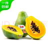 都樂Dole 進(jìn)口非轉(zhuǎn)基因木瓜2只 單果重350g+ 生鮮水果源頭直發(fā) 包郵 曬單實(shí)拍圖