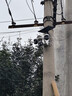 鐳威視4g太陽(yáng)能攝像頭終身免流量室外免插電無(wú)需連wifi手機遠程監控器家用360度無(wú)死角全景高清夜視追蹤 曬單實(shí)拍圖