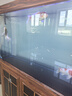 閩江大型新中式客廳家用落地魚(yú)缸水族箱辦公室招財免換水底濾龍魚(yú)缸 【1代】紅木色 【4代精英款】150長(cháng)*45寬*153高送豪華套餐 曬單實(shí)拍圖