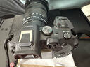佳能（Canon）EOS R7微單相機(jī)APS-C畫(huà)幅照相機(jī)3250萬(wàn)有效像素 4K EOS R7單機(jī)(不含鏡頭) 標(biāo)配+32G卡+相機(jī)包 曬單實(shí)拍圖