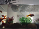 海諳魚缸造景裝飾仿真水草海草塑料假水草柔軟水族箱布景套餐人造花 CO63-H綠色 曬單實拍圖