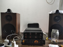 諾普聲（Nobsound）MS-30D藍(lán)牙膽機(jī)升級(jí)款 膽機(jī)hifi組合音響桌面臺(tái)式功放USB接口無損播放 30D膽機(jī)+Q3音箱 HIFI組合 曬單實(shí)拍圖