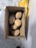京鮮生 甘肅定西土豆 5斤 單果300g+ 沙面黃心土豆馬鈴薯洋芋 源頭直發(fā) 曬單實(shí)拍圖