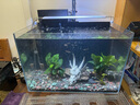 當(dāng)貝智能魚缸壁掛過濾器 外置過濾桶靜音水泵 AI智能魚馬桶 N1800升AI 曬單實拍圖