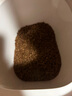 自然光環(huán)美國進(jìn)口Halo【成貓健美雙包】貓糧無(wú)谷主糧大袋寵物減重減肥低卡 健美雞肉味10磅*2(效期26.09起) 下單抽獎·滿(mǎn)贈好禮~詳情請入會(huì ) 曬單實(shí)拍圖