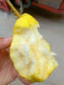 櫻鮮山東煙臺太婆梨新鮮軟梨茄梨葫蘆梨當(dāng)季時令水果整箱需放軟吃 【熱銷】4.5斤大果(單果145g+） 曬單實拍圖