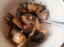 醉發(fā)財(cái)蟹醉蟹生腌小螃蟹開(kāi)罐即食甜辣醉毛蟹無(wú)沙500g/罐 1罐 醉發(fā)財(cái)蟹  500g/罐 曬單實(shí)拍圖