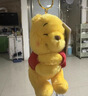 迪士尼（Disney）軟綿抱抱系列維尼熊妙妙貓毛絨玩偶掛件鑰匙扣生日七夕情人節(jié)禮物 小熊維尼毛絨掛件 曬單實拍圖