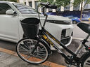 飛鴿（FLYING PIGEON）自行車成人通勤車自行車學(xué)生單車成人自行車通勤自行車城市公路車 頂配黑|單速+雙碟剎+實心胎+禮包 26寸|身高160-185cm 曬單實拍圖