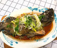 貝鮮貓石斑魚(yú)海捕鮮活冷凍老虎龍躉斑龍膽斑魚(yú)類(lèi)海鮮送禮 海捕石斑魚(yú) 1-1.2斤/條 曬單實(shí)拍圖