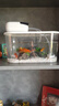 松寶（sobo）魚(yú)缸氧氣泵增氧泵家用養魚(yú)增氧機usb充電釣魚(yú)增氧泵 AR-22雙孔2W 曬單實(shí)拍圖
