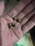 [藏王天寶]十五味龍膽花丸 0.3g*36丸 3盒裝 0.3g*36丸/盒kk 優(yōu)惠裝 曬單實(shí)拍圖