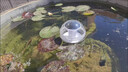 太陽(yáng)能漂浮燈花園水池泳池魚塘裝飾燈池塘公園湖泊水池三色水漂燈 太陽(yáng)能水漂燈【三模式】1個(gè)裝 曬單實(shí)拍圖