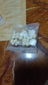 四神湯:蓮子.茯苓.山藥.芡實(shí)兒童四神湯健脾祛濕茶調(diào)理脾胃祛濕排毒去除濕氣 四神湯15副試用裝 曬單實(shí)拍圖