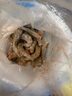 鮮享純【青島蝦】超大蝦新鮮大蝦冷凍鮮活青島大蝦批發(fā)整箱基圍蝦青蝦 15-17厘米鮮蝦速凍 3斤(凈重) 曬單實拍圖