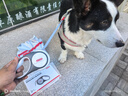 京東京造 防暴沖照明牽引繩5米 自動伸縮狗繩大型犬結實合金遛狗狗鏈貓咪 曬單實拍圖