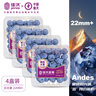佳沃 JOYVIO 秘魯進(jìn)口藍(lán)莓巨無(wú)霸4盒裝22mm+ 125g/盒 新鮮水果 曬單實(shí)拍圖