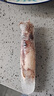 龍味福海兔子滿籽筆管魚鮮活熟凍海鮮籽烏章魚新鮮墨魚仔小魷魚烏賊 3斤(凈重） 滿籽海兔子 曬單實拍圖