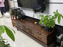 美佳朗整裝實(shí)木電視柜茶幾組合現(xiàn)代簡(jiǎn)約小戶型客廳電視墻地柜簡(jiǎn)易電視柜 胡桃色1.2洣 整裝 曬單實(shí)拍圖