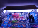 添悅魚(yú)缸新款超白生態(tài)玻璃缸家用客廳辦公室底部排水魚(yú)缸一體自循環(huán) 36CM缸【世外桃源套餐】+養魚(yú)大禮包 曬單實(shí)拍圖