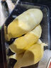 特睿思（TERUISI）和面機(jī)商用全自動(dòng)揉面機(jī)大容量攪面機(jī)多功能面粉攪拌機(jī)大型面粉活面機(jī) TRS-LJHMJ-8KG 曬單實(shí)拍圖