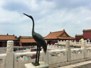 美贊臣學(xué)優(yōu)力 卓高兒童成長(zhǎng)奶粉鉑金裝700g罐裝 富含CBP 骨骼發(fā)育  曬單實(shí)拍圖