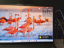 ThinkPad【國家補貼20%】X1 Carbon Aura AI 2025酷睿Ultra7-258V 全互聯(lián)商務(wù)辦公筆記本電腦32G 1T OLED 曬單實拍圖