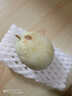 玉菇甜瓜冰淇淋現(xiàn)摘正宗新鮮水果整箱當(dāng)季水果香瓜冰淇淋 【超值裝】 9斤(凈重8.5斤) 曬單實(shí)拍圖