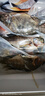 翔泰海南三去羅非魚/海南鯛1400g/共4條免處理 生鮮魚類 海鮮水產(chǎn)  曬單實(shí)拍圖