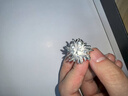 曉青瓜絢爛煙花超仙設(shè)計(jì)感氣質(zhì)花朵耳釘女韓系耳環(huán)輕奢小眾高級(jí)感耳飾 白色 R0669煙花戒指 曬單實(shí)拍圖